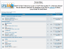Tablet Screenshot of forum.itbox.ro