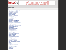 Tablet Screenshot of director.itbox.ro